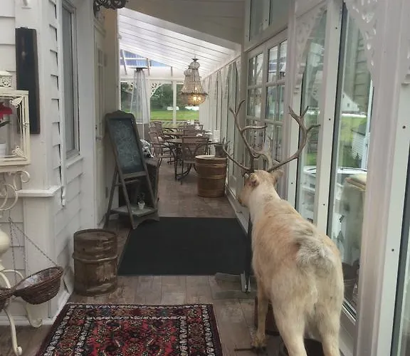 Bed & Breakfast Eidfjord Gjestgiveri 3*