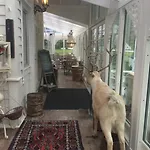 Alojamento de Acomodação e Pequeno-almoço Eidfjord Gjestgiveri 3*